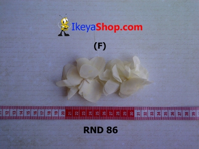 large2 RND 86 F